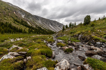 A small mountain stream flows from the mountains. A lot of green grass and large stones near the river. Big mountains in the background. Cloudy weather. Horizontal.