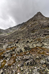 A high mountain with a peak strewn with large moss-covered stones. Cloudy weather. Vertical.