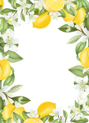 Card template, frame of hand drawn blooming lemon tree branches, flowers and lemons on white background
