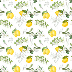 Seamless pattern with hand drawn blooming lemon tree branches on a white background