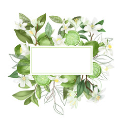 Frame of hand drawn blooming lime tree branches, flowers and limes on white background