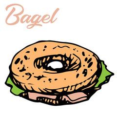 Vector illustration of fresh bagel sandwich with salad and lettering in color ink