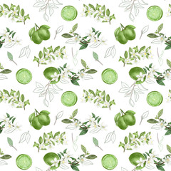 Seamless pattern with hand drawn blooming lime tree branches and limes on a white background
