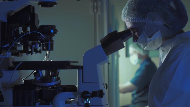 In a Modern Laboratory Scientist Conduct Experiments. Chief Research Scientist Adjusts Specimen in a Petri Dish and Looks on it Into Microscope.