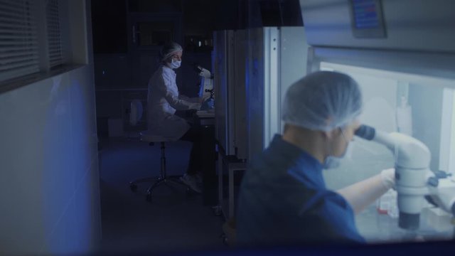 In a Modern Laboratory Scientist Conduct Experiments. Chief Research Scientist Adjusts Specimen in a Petri Dish and Looks on it Into Microscope.