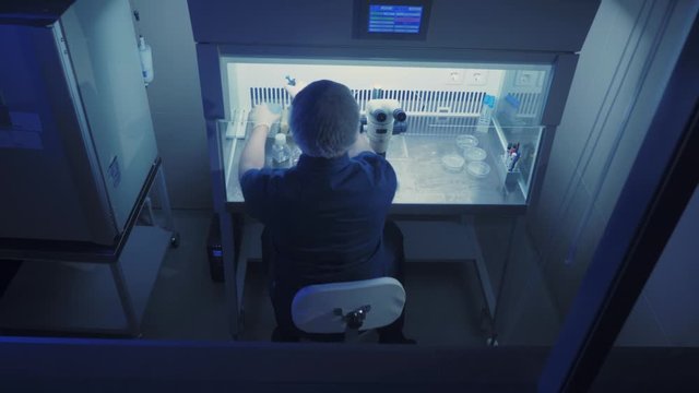 In a Modern Laboratory Scientist Conduct Experiments. Embryologist Examines Samples with a Microscope