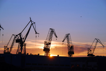 Fototapeta premium silhouettes of cranes in industrial harbor during sunset