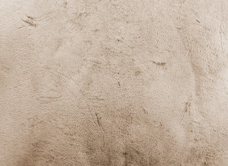 Painted rough leather.