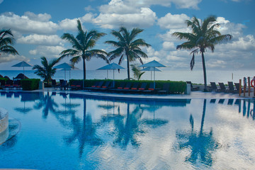 Fototapeta na wymiar Palm trees reflected in pool at dawn
