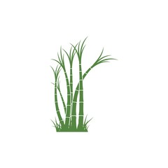 Fototapeta na wymiar Sugar cane plant logo