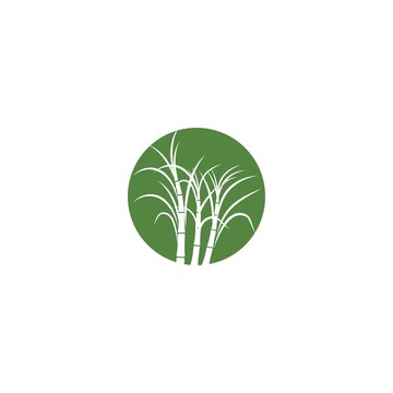 Sugar Cane Plant Logo