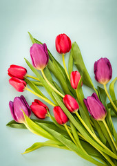 Obraz premium Romantic Spring tulips on blue paper background