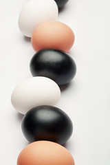 Row of eggs of different colors on a white background. Black, white and brown chicken eggs.