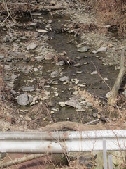 Denny Park PA creek close