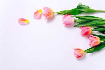 Floral pattern with pink tulip flowers and petals on white background. Flat lay, Top view.