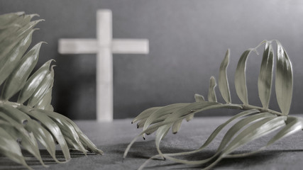 Lent Season,Holy Week and Good Friday concepts - closed up palm leaves in vintage background