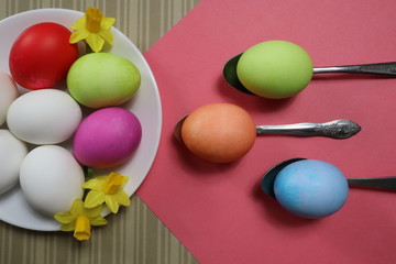 White and colored eggs and springtime daffodils, top view