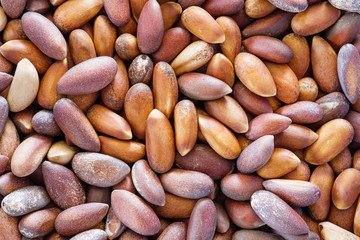 Pine Nut Background