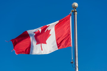 Canadian Flag blowing in the wind