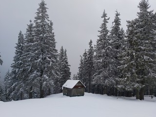 house in winter forest