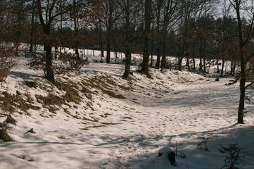 Spring hike to the hidden cottage