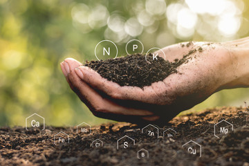 Men's hands are surrounded by rich soil with all the elements needed to grow, while digital icons represent the elements.