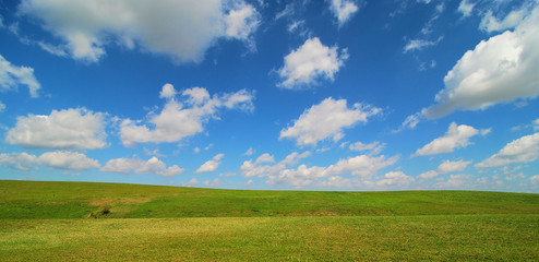 Grass is Always Greener, in Florida