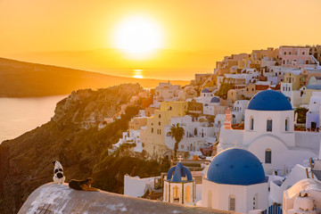 Fototapeta premium Blue domed churches and traditional white houses facing Aegean Sea with warm sunset light in Oia, Santorini, Greece