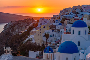 Blue domed churches and traditional white houses facing Aegean Sea with warm sunset light in Oia, Santorini, Greece