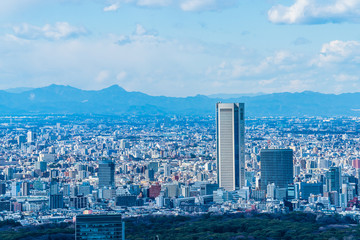 Obraz premium 東京の都市風景