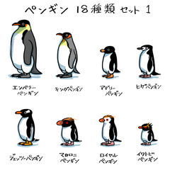 ペンギン１８種類セット１