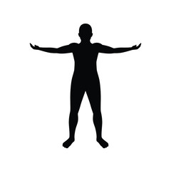 Human body silhouette vector, anatomy