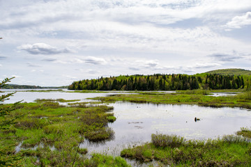 marais du nord 2