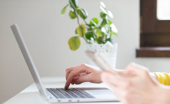 Green Office Laptop Smartphone And Tropical Plants