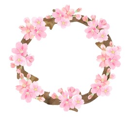 桜　円　フレーム