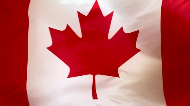 Flag of Canada waving in the wind close-up. The wind is blowing from right to left. Background for news, movies and more.