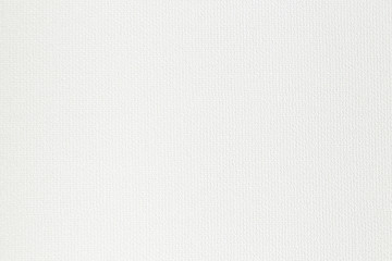 うっすらと凹凸のある白背景
