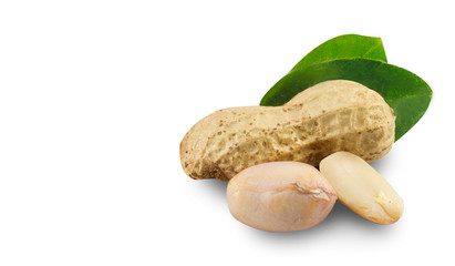 Peanuts isolated on white background.
