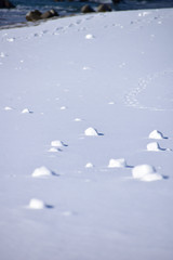 Fototapeta na wymiar 海岸に出来た雪のかたまり
