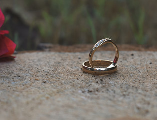Anillos