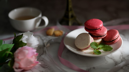 Close up view of Colourful Pastel Macarons on white ceramic plate