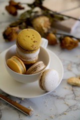 Cropped shot of French sweet macarons on white cup