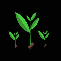 Seedlings that are growing out of seeds vector illustrator EPS10.
