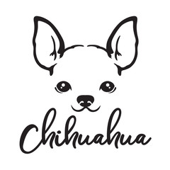 Chihuahua dog face line art sketch vector illustration. - obrazy, fototapety, plakaty