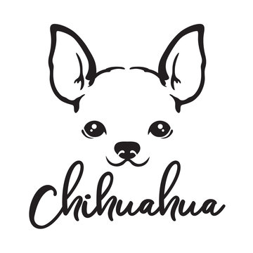 Chihuahua Cartoon Images – Browse 8,830 Stock Photos, Vectors, and Video |  Adobe Stock