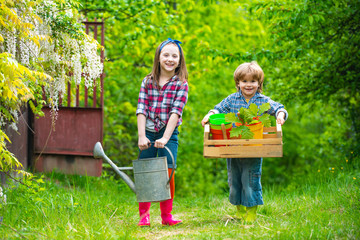 Kids farmers with box and watering can. Children farmer in the farm with countryside background. Summer farming. © Volodymyr