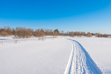 Fototapeta na wymiar Snowmobile road on a snowy field leading to the forest. Winter landscape on a bright sunny day