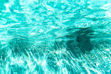 エメラルドグリーンの水中