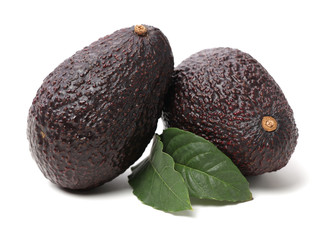 Avocado on a white background