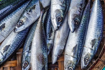 Asian city seafood market. Top and close up view of freshly caught fish on the counter for sale.
